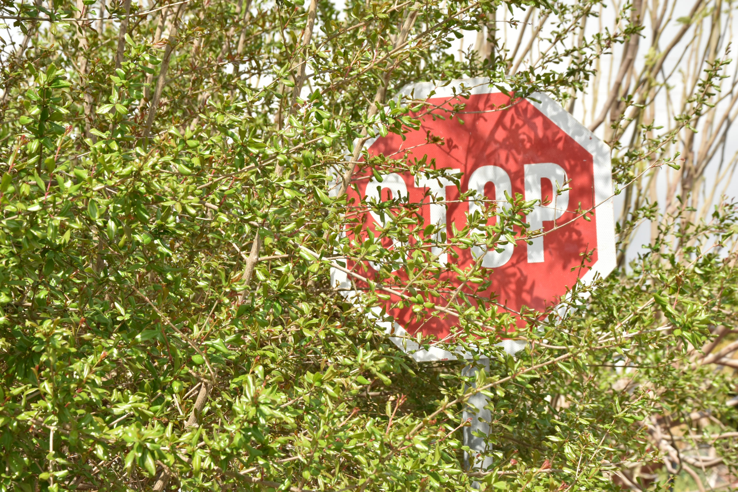 Una obstrucción que puede causar accidente