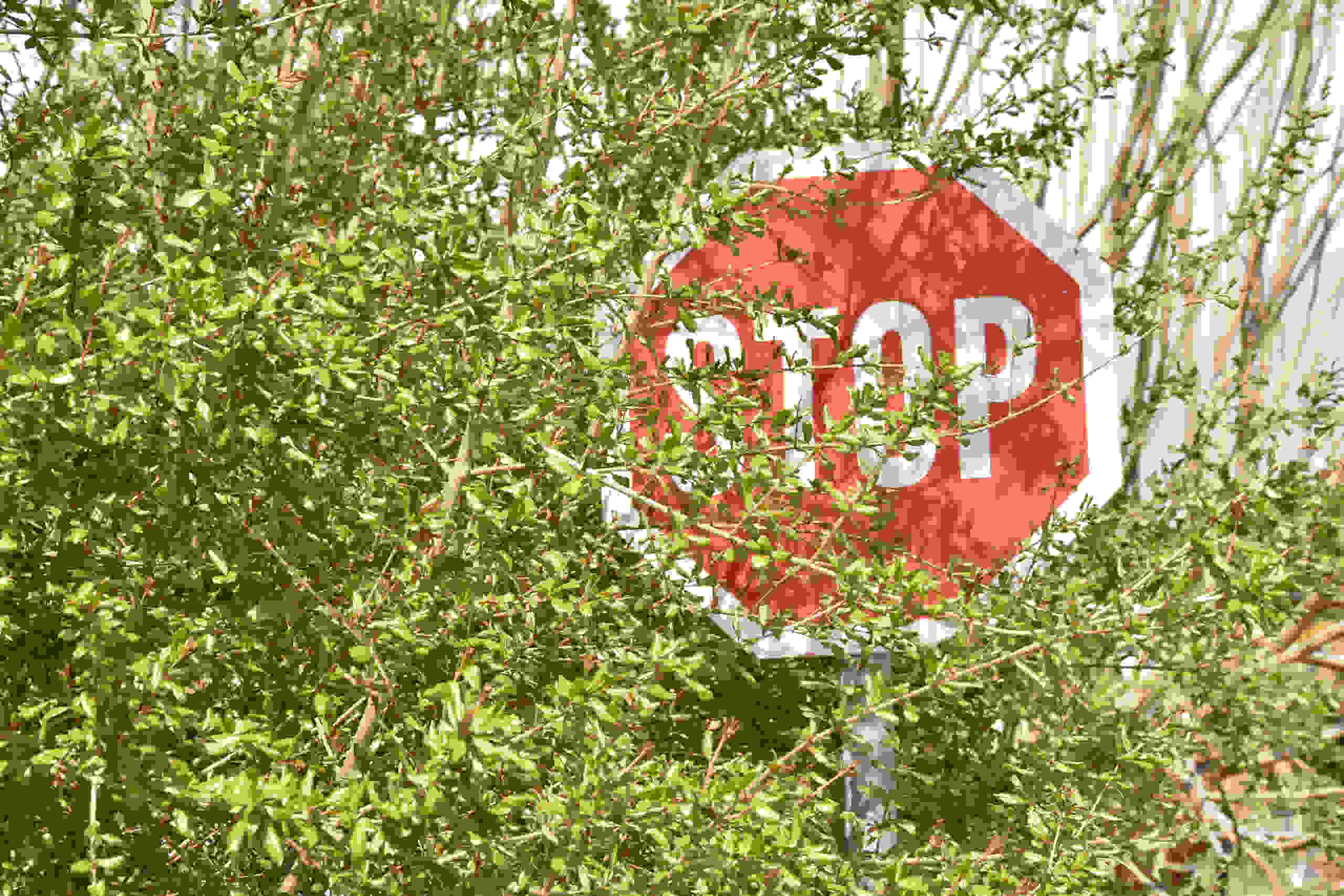 JG-blog-post_obstruction-caused-my-car-accident-who-is-responsible-scaled